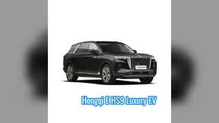 Hongqi E-HS9 SUV 7 chỗ EV tầm xa