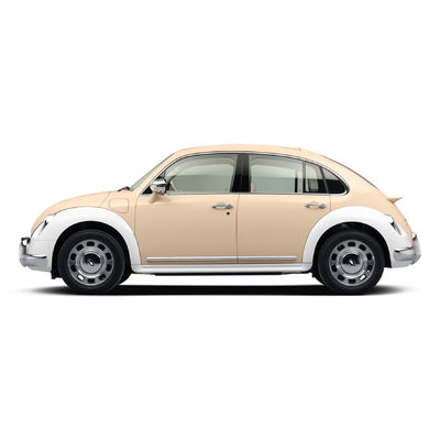 401km 500km Mini EV Cars 155km/Hr GWM Ora Ballet Cat Range 5 chỗ ngồi hatchback Xe điện