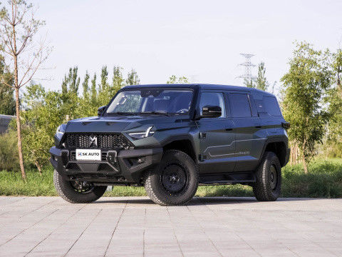 2024 M-Terrain 917 Extended Range Basic Edition Ô tô EV