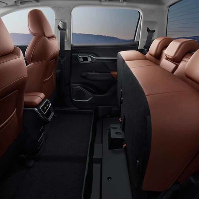 632Km EV Pickup Truck Camper 2023 Geely Radar Rd6 Đối với gia đình kinh doanh