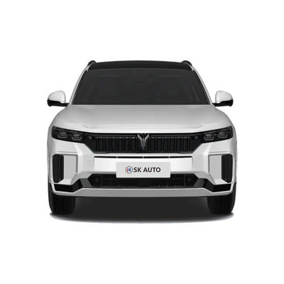 2025 VOYAH FREE 318 Trung Quốc New Energy Vehicle SUV Range 318KM Động lưng Động lưng